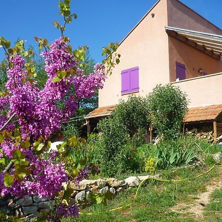 Le Gite De Cristal Proche Bugarach Granes Εξωτερικό φωτογραφία