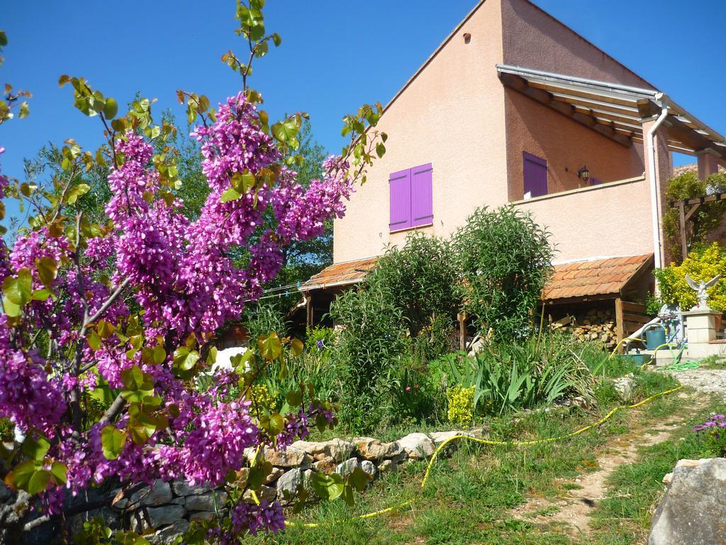 Le Gite De Cristal Proche Bugarach Granes Εξωτερικό φωτογραφία