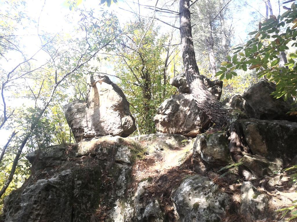 Le Gite De Cristal Proche Bugarach Granes Εξωτερικό φωτογραφία