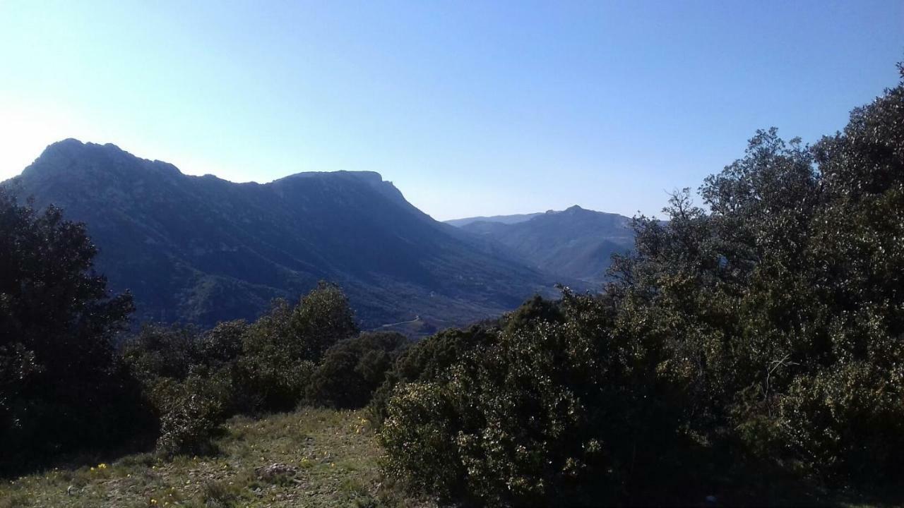 Le Gite De Cristal Proche Bugarach Granes Εξωτερικό φωτογραφία
