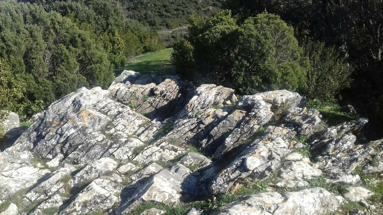 Le Gite De Cristal Proche Bugarach Granes Εξωτερικό φωτογραφία