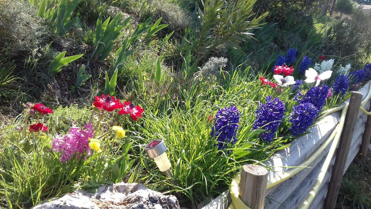 Le Gite De Cristal Proche Bugarach Granes Εξωτερικό φωτογραφία